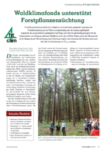 Waldklimafonds unterstützt Forstpflanzenzüchtung