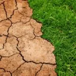 Plastikverschmutzung: 7 schockierende Auswirkungen auf die Umwelt! fitforclim103