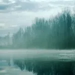 Klimawandel: 7 bedrohte Tierarten, die du kennen musst! fitforclim108