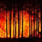 fitforclim110