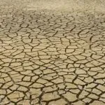Biomasse: 5 erstaunliche Vorteile für deine Umwelt! fitforclim127