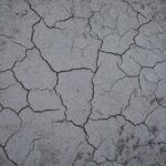 fitforclim128