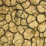 Wasserstoffenergie: 5 Gründe, warum du jetzt umsteigen solltest! fitforclim131
