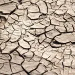 Photovoltaik: 5 Vorteile, die du kennen solltest! fitforclim134