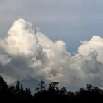 fitforclim144