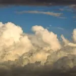 fitforclim155