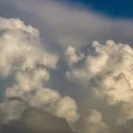 Ginkgo: 7 erstaunliche Vorteile für deine Gesundheit! fitforclim157