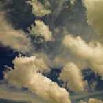 fitforclim159