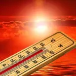 fitforclim17