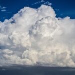 fitforclim174