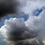fitforclim178