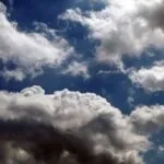 fitforclim179