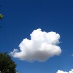 fitforclim183