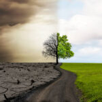 Change from dry climate to fertile climate