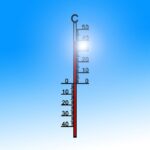 Baumpatenschaften: 5 Gründe, warum du jetzt handeln solltest! fitforclim220