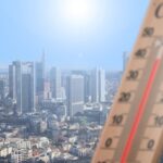 Zukunftswald: 5 Wege, wie du die Natur von morgen schützt! fitforclim221