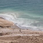 Mangroven: 5 erstaunliche Fakten, die du wissen musst! fitforclim226