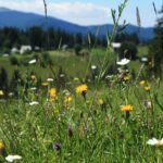 Klima Hysterie: 5 Fakten, die du unbedingt wissen musst! fitforclim238