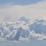 Prima Klima Berlin: 5 Tipps für dein Wohlfühl-Zuhause! fitforclim287