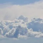 fitforclim287