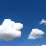 fitforclim292