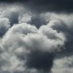 fitforclim293