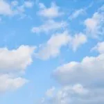 fitforclim295