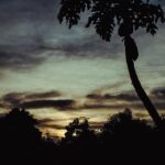 Kälte Klima 24: 5 Tipps für ein angenehmes Raumklima! fitforclim313