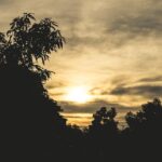 Klima auf den Kapverdischen Inseln: 5 Fakten, die du wissen musst! fitforclim315