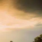 fitforclim318