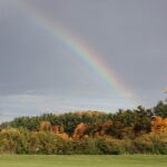 Klima California: 5 spannende Fakten, die du wissen musst! fitforclim330