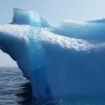 fitforclim337