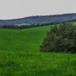 Marokko Klima Dezember: 5 spannende Fakten für deinen Urlaub! fitforclim340