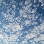 fitforclim43