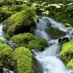 Klima Madeira im März: 5 Tipps für deinen perfekten Urlaub! fitforclim97
