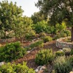 food-forest-sardinien-20262