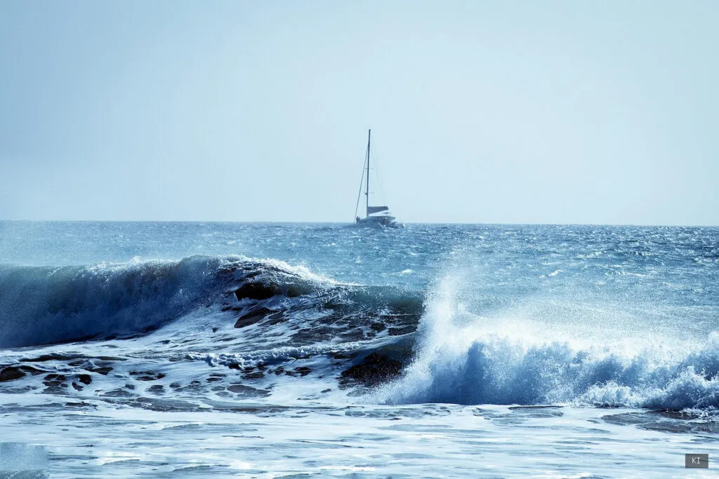 Thematisch passendes Bild zu Asinara Sardinien - Abschnitt 3