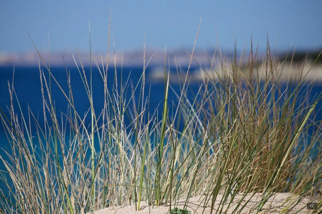 Thematisch passendes Bild zu Budoni Sardinien - Abschnitt 3