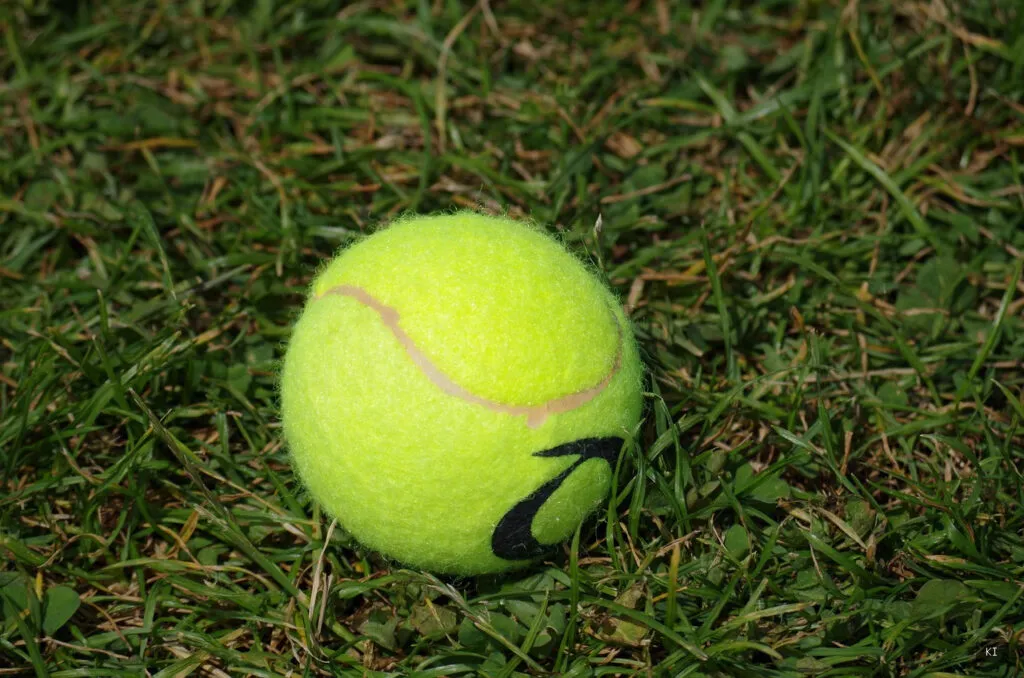 Thematisch passendes Bild zu Tennis Sardinien - Abschnitt 2