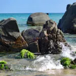 Cala Di Volpe Sardinien: 5 Tipps für den perfekten Strandtag Cala Di Volpe Sardinien