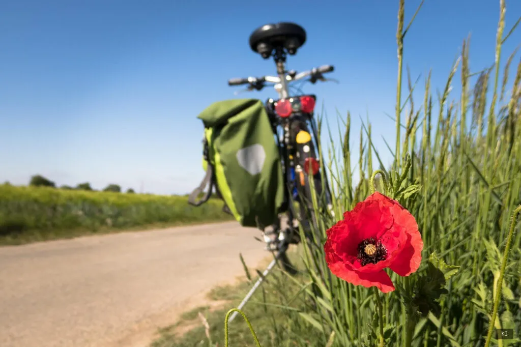 Thematisch passendes Bild zu Fahrradtour Sardinien - Abschnitt 2