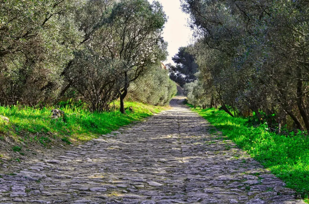 Thematisch passendes Bild zu Il Monastero Sardinien - Abschnitt 2