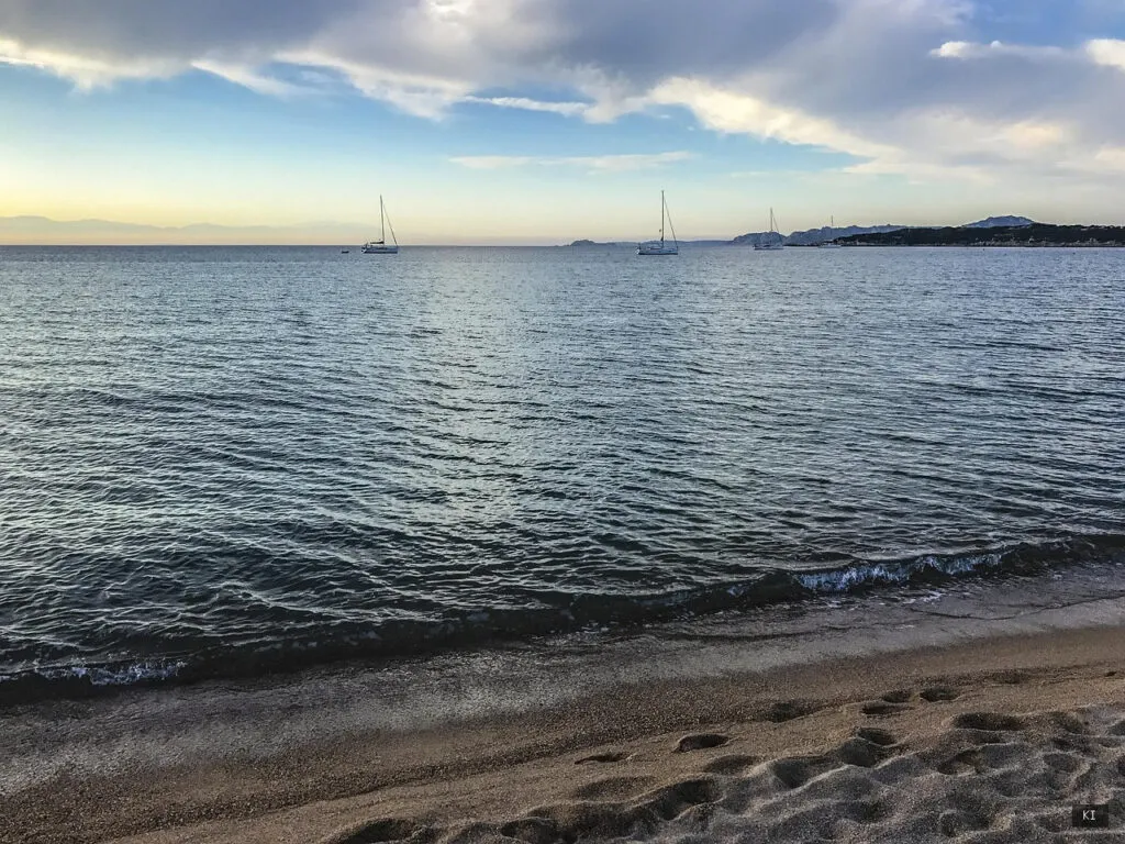 Palau Sardegna