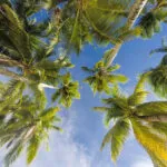Pauschalreise Sardinien All Inclusive