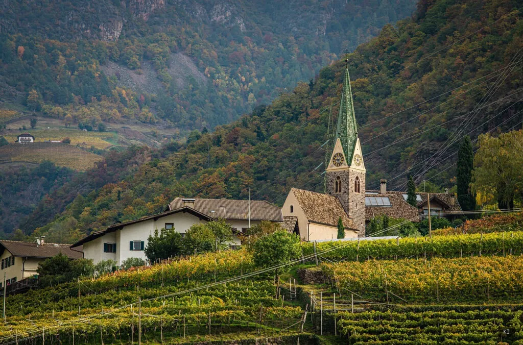 Thematisch passendes Bild zu Rotwein aus Sardinien - Abschnitt 1