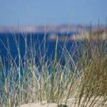 Santa Maria Sardinien: 7 Highlights für deinen perfekten Urlaub Santa Maria Sardinien