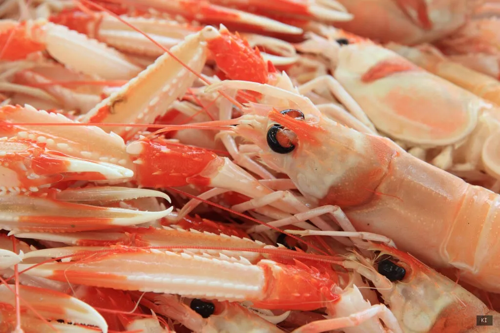 Sardinia Alghero Restaurants