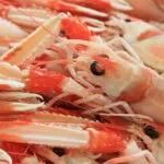Sardinia Alghero Restaurants: 10 beste Lokale für deinen Urlaub Sardinia Alghero Restaurants