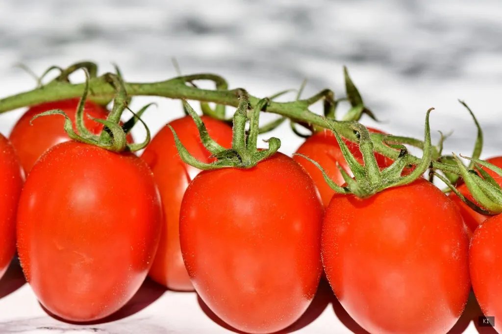 Thematisch passendes Bild zu Sardinia Eco Vegan House - Abschnitt 1