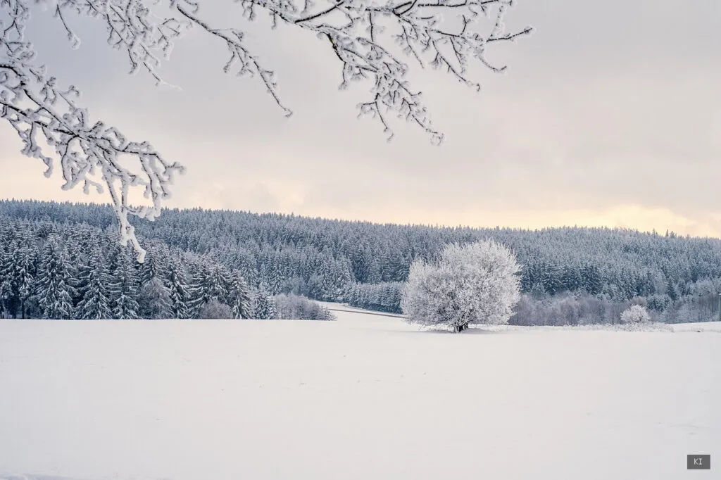 Thematisch passendes Bild zu Sardinien im Winter - Abschnitt 3